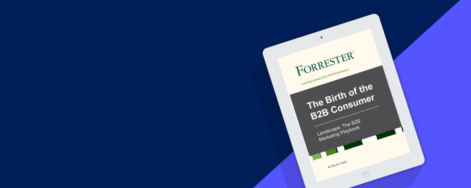 Header Image showing a cartoon iPad with the Forrester Report - The Birth of the B2B Consumer. On a Blue background.