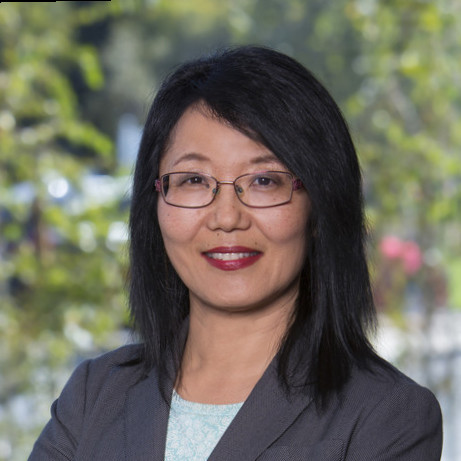 Headshot of Anne Wang he Senior Director of Global Marketing Operations at FireEye